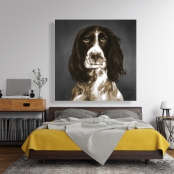 Canvas 48 x 48 - Brown english springer spaniel