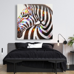 Canvas 48 x 48 - Colorful zebra