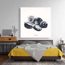 Canvas 48 x 48 - Blue seaside shells