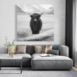 Canvas 48 x 48 - Monochrome highland cow