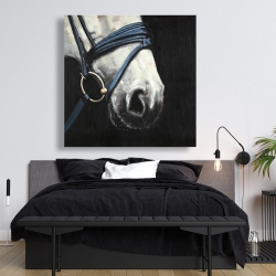 Toile 48 x 48 - Cheval avec harnais d'attelage