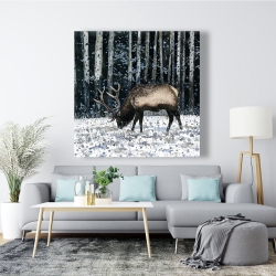 Toile 48 x 48 - Caribou dans la forêt d'hiver