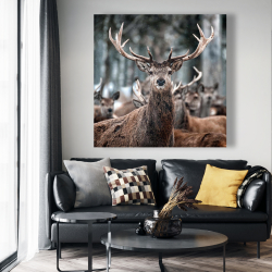 Toile 48 x 48 - Cerfs