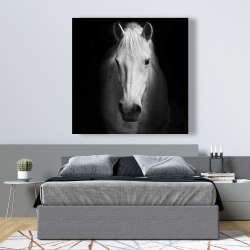 Canvas 48 x 48 - Monochrome horse