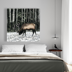 Toile 48 x 48 - Caribou dans la forêt