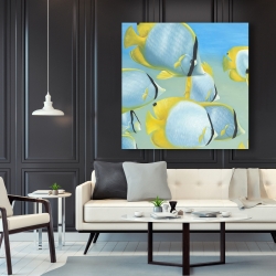 Canvas 48 x 48 - Butterfly fishes