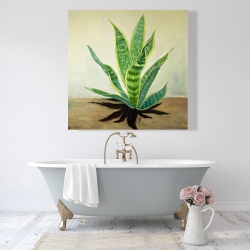 Toile 48 x 48 - Plante succulente langue de belle-mère