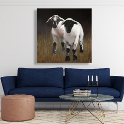 Canvas 48 x 48 - Two lambs