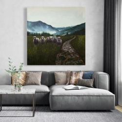 Canvas 48 x 48 - Sheep in the countryside