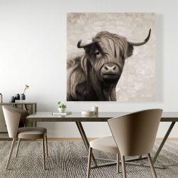 Canvas 48 x 48 - Highland cattle sepia