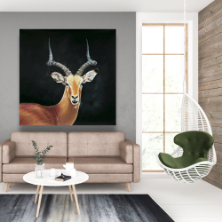 Toile 48 x 48 - Antilope