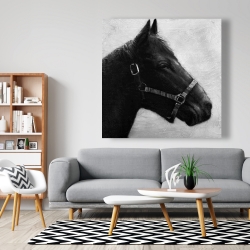 Canvas 48 x 48 - Gallopin the horse