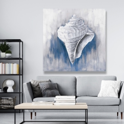 Canvas 48 x 48 - Blue conical shell