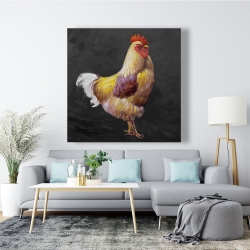 Canvas 48 x 48 - Beautiful rooster 2