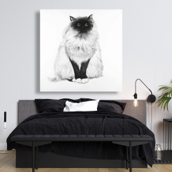 Toile 48 x 48 - Chat siamois poilu