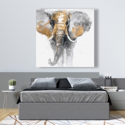 Canvas 48 x 48 - Golden elephant