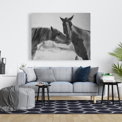 Canvas 48 x 60 - Horses lover