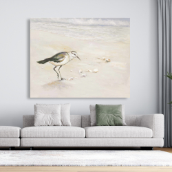 Canvas 48 x 60 - Semipalmated sandpiper on the beach