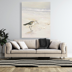 Canvas 48 x 60 - Semipalmated sandpiper on the beach