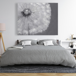 Canvas 48 x 60 - Dandelion puff ball