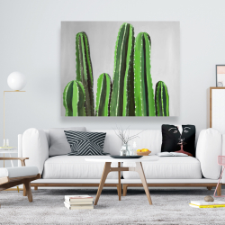 Toile 48 x 60 - Cactus cierges