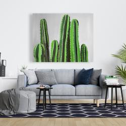 Toile 48 x 60 - Cactus cierges