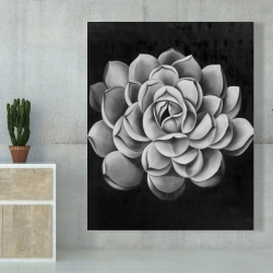 Toile 48 x 60 - Succulent noir et blanc