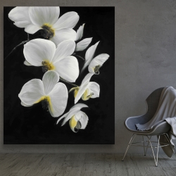 Canvas 48 x 60 - Beautiful orchids