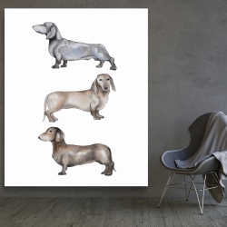 Toile 48 x 60 - Petits chiens teckel