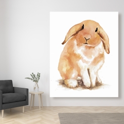 Toile 48 x 60 - Lapin bélier