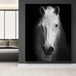 Canvas 48 x 60 - Monochrome horse
