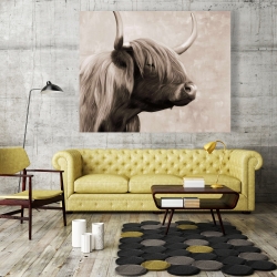 Canvas 48 x 60 - Beautiful highland cattle sepia