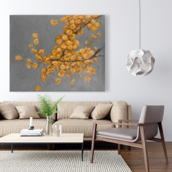 Canvas 48 x 60 - Golden wattle plant with pugg ball flowers