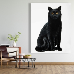 Canvas 48 x 60 - Black cat