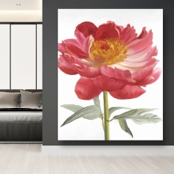 Canvas 48 x 60 - Pink peony