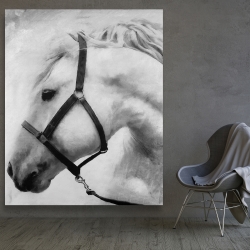 Canvas 48 x 60 - Darius the horse