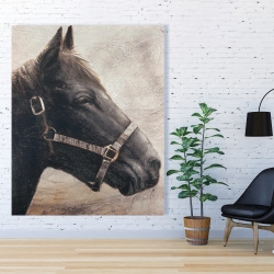 Canvas 48 x 60 - Gallopin the brown horse