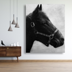 Canvas 48 x 60 - Gallopin the horse