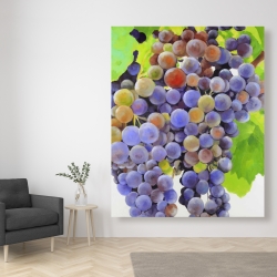 Toile 48 x 60 - Bouquet de raisins