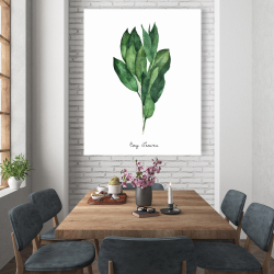 Canvas 48 x 60 - Bay leaves bundle -en