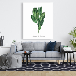 Canvas 48 x 60 -  bay leaves bundle - fr