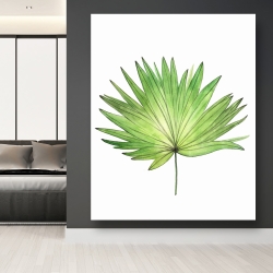 Canvas 48 x 60 - Petticoat palm