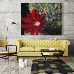 Toile 48 x 60 - Fleur rouge de cactus echinopsis