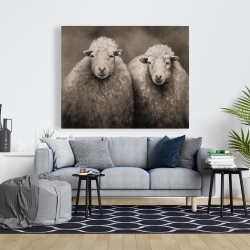 Canvas 48 x 60 - Sheep sepia