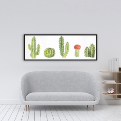 Encadré 16 x 48 - Ensemble de petits cactus à l'aquarelle