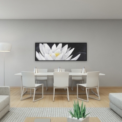 Encadré 16 x 48 - Fleur de lotus et sa réflexion