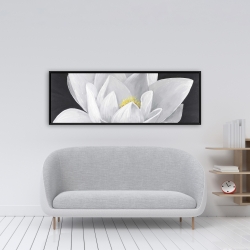 Encadré 16 x 48 - Vue de haut d'une fleur de lotus