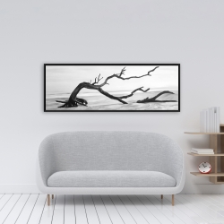 Framed 16 x 48 - Dead tree in the middle of water
