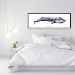 Framed 16 x 48 - Whale