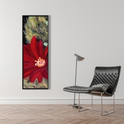 Encadré 16 x 48 - Fleur rouge de cactus echinopsis